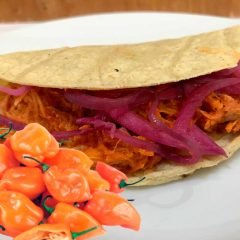 Taco de Cochinita pibil